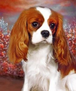 King Charles Spaniel Portrait Paint by numbers