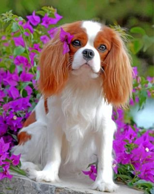 King Charles Spaniel Puppy Paint by numbers