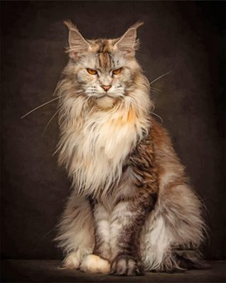 Maad Maine Coon Paint by numbers
