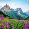 Montana Glacier National Park Paint by numbers