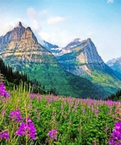 Montana Glacier National Park Paint by numbers