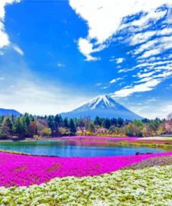 Mount Fuji Japan Paint by numbers