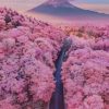 Mt Fuji With Cherry Blossoms Paint by numbers