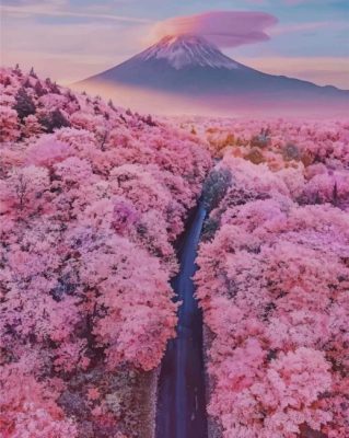 Mt Fuji With Cherry Blossoms Paint by numbers