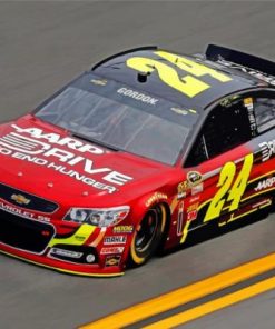 Nascar Jeff Gordon Paint by numbers