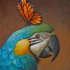 Parrot And Butterfly Paint by numbers