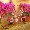 Pink Bicycle With Flowers Paint by numbers