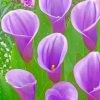 purple arum lilies paint by numbers-319x400