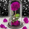 Purple Glass Rose Paint by numbers