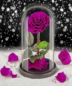 Purple Glass Rose Paint by numbers