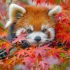 Red Panda And Leaves Paint by numbers