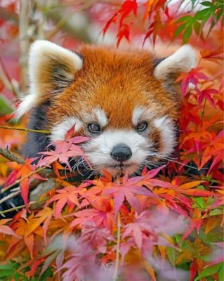 Red Panda And Leaves Paint by numbers