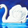 rose-swan-paint-by-number