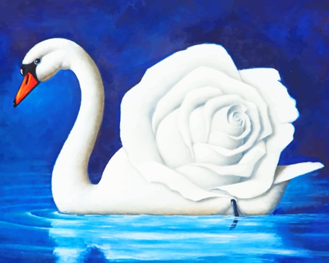 rose-swan-paint-by-number