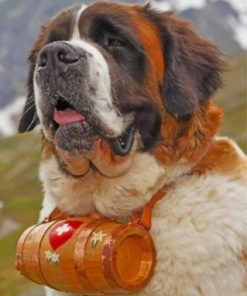 Saint Bernard Paint by numbers