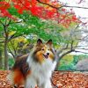 shelties-enjoying-the-autumn-paint-by-number