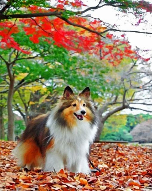 shelties-enjoying-the-autumn-paint-by-number