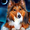 shelties-paint-by-numbers