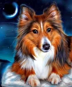 shelties-paint-by-numbers