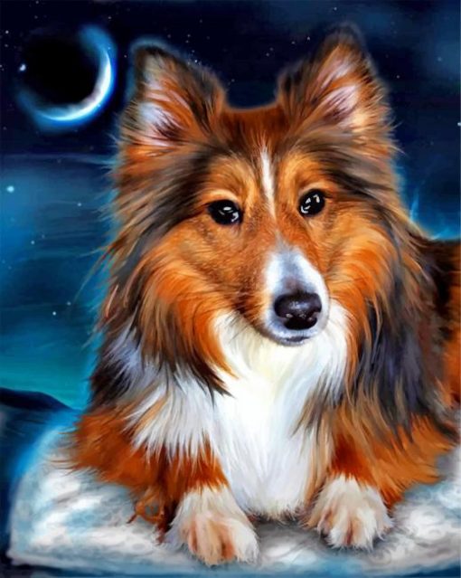 shelties-paint-by-numbers