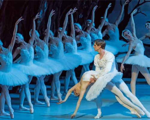 Swan Lake paint by numbers