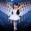 Russian Swan Lake paint by numbers