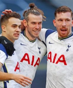 Tottenham Players Paint by numbers