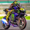 valentino-rossi-paint-by-number
