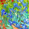 Van Gogh Iries Flowers Paint by numbers