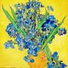 Vincent Van Gogh Irises Paint by numbers