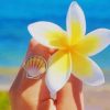 White And Yellow Frangipani Flower paint by numbers