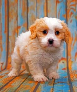 white cavapoo paint by numbers