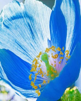 Wild Mallory Blue Poppy Paint by numbers