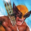 Wolverine Illustration Paint by numbers