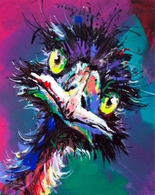 Abstract Emu Paint by numbers