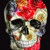 Aesthetic Floral Skull Paint by numbers