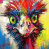 Abstract Colorful Emu Paint by numbers