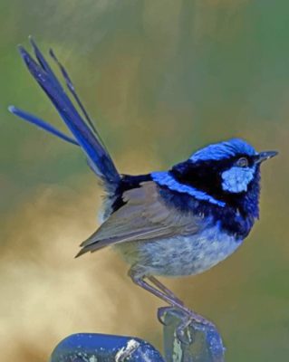 Aesthetic Blue Wren Paint by numbers