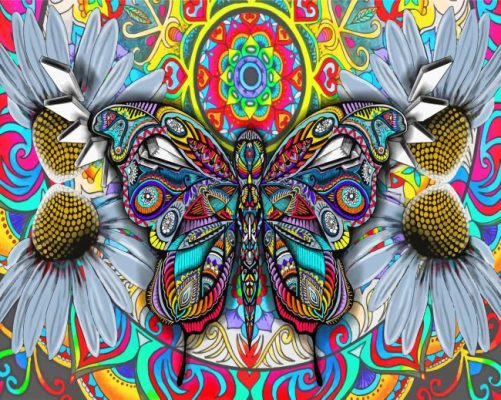 Aesthetic Bohemian Butterfly Paint by numbers