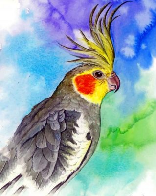 Aesthetic Cockatiel Paint by numbers