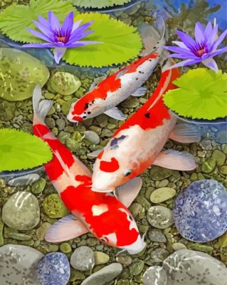 Aesthetic Koi Fish Paint by numbers