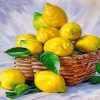 Lemon Basket Paint by numbers