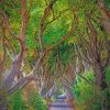 Aesthetic Dark Hedges Paint by numbers