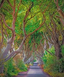 Aesthetic Dark Hedges Paint by numbers