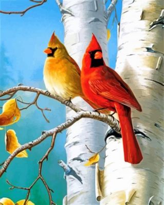 Cardinal Birds Paint by numbers