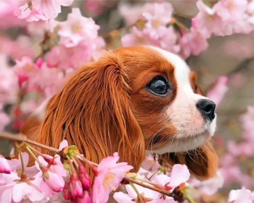 Cavalier Puppy And Blossoms paint by numbers