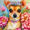 Chihuahua Dog Paint by numbers