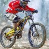 Cool Mountain Biker Paint by numbers