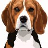 Cute Beagle Paint by numbers