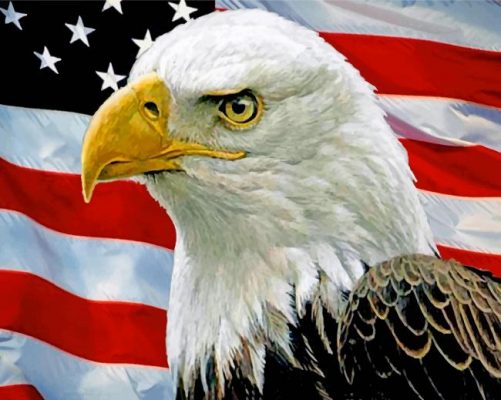 Eagle USA Flag - Paint By Number - Paint by numbers UK